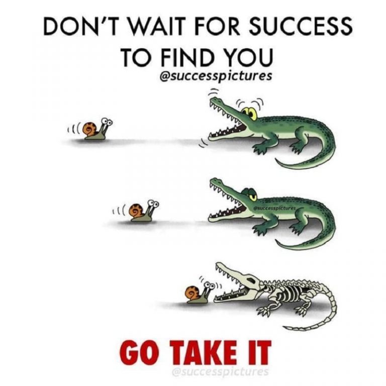 Read more about the article קריקטורה בנושא הדרך להצלחה