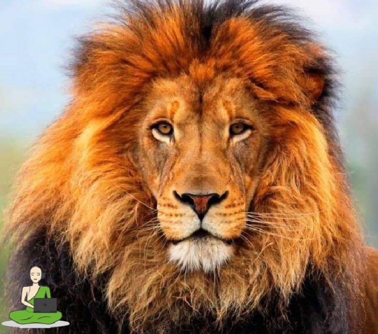 Read more about the article לכולנו יש נפילות להרגלים רעים. אל תדאגו- תסמכו על ההרגלים הטובים שלכם ותנו להם להרים אתכם