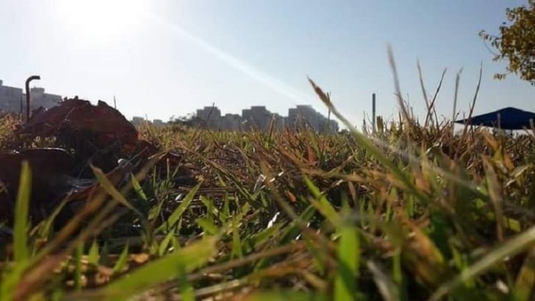 Read more about the article הבוקר מכתיב איך יראה היום שלכם, אל תבזבזו אותו.הנה מספר הרגלים לשלב בשגרת הבוקר שלכם