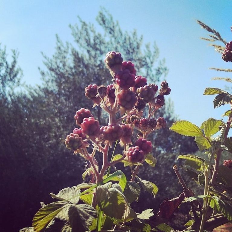 Read more about the article להסתכל במראה זה חשוב – לא בשביל לבדוק את האיפור