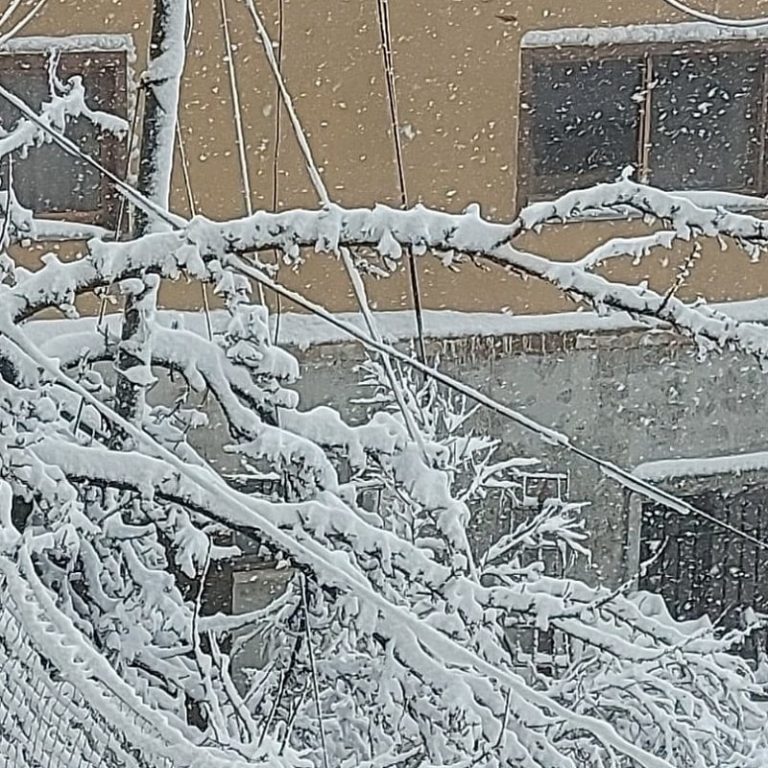 Read more about the article הפעולות שיעזרו לכם לצאת מדכדוך כל פעם מחדש!